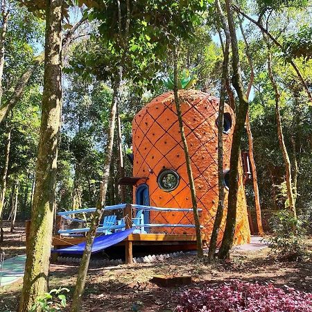 Casa Abacaxi, Vila Magica Bueno Brandão Buitenkant foto